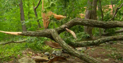 Alliance For Digital Fabrication Education Inc.