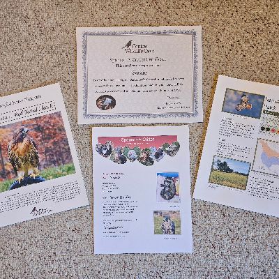 Sponsor A Critter (or critters) item