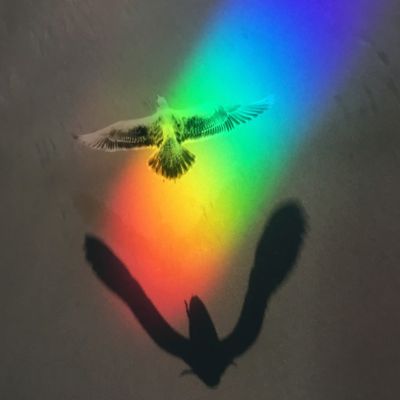 Colombiere Retreat Center, Inc. dba Spirit Mountain Retreat