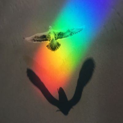 Full price of registration item