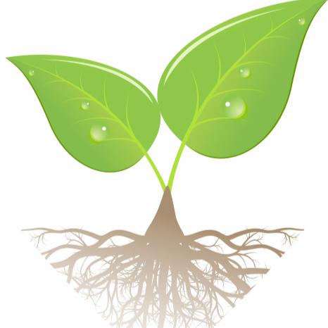 New Life Initiative Inc.