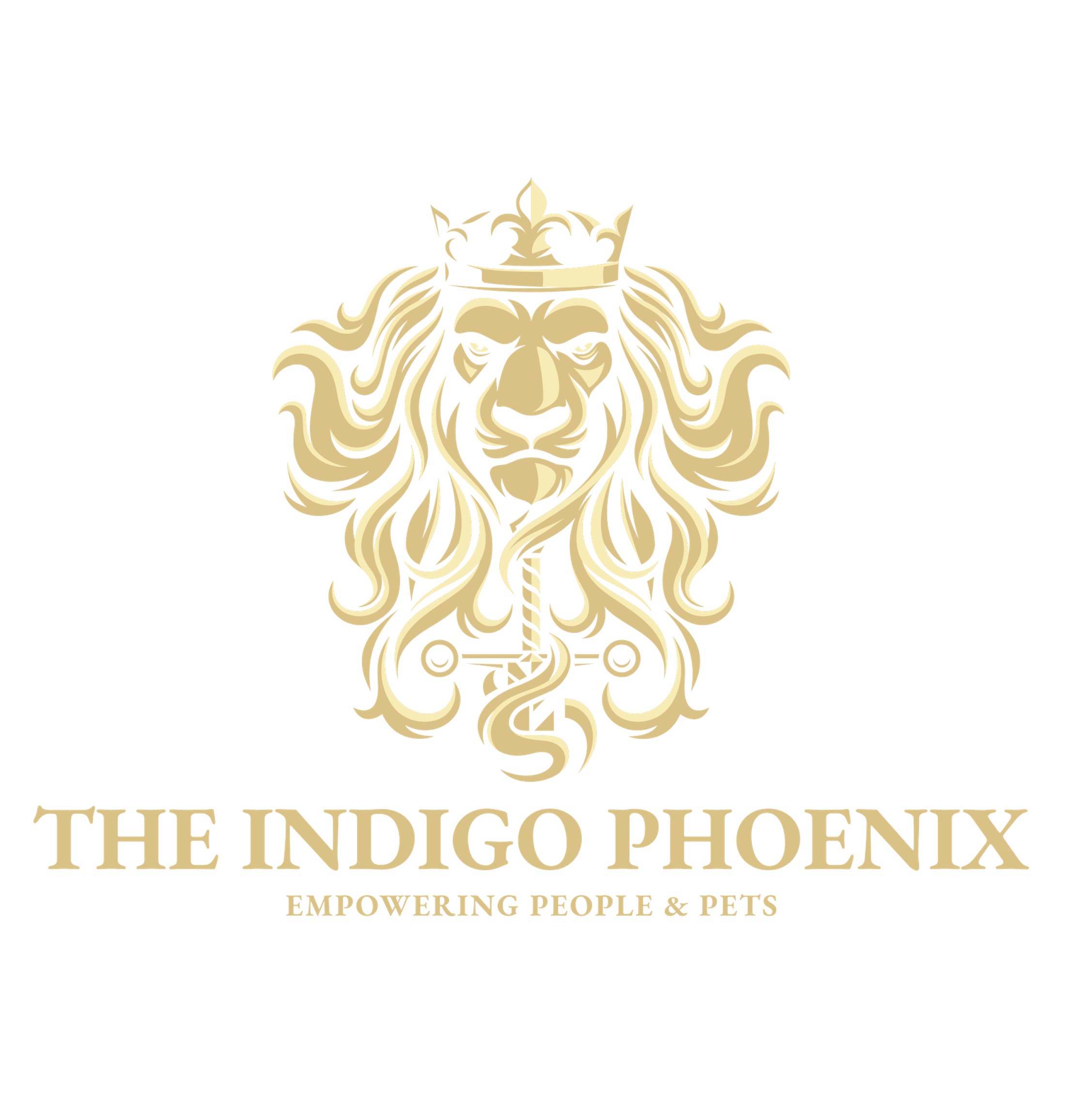 The Indigo Phoenix Foundation, Inc