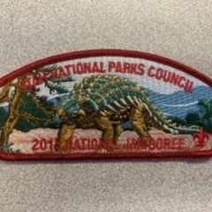 UNPC 2013 National Jamboree CSP 1 of 5 item