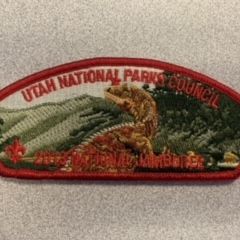 UNPC 2013 National Jamboree CSP 4 of 5 item