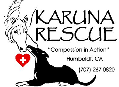 Karuna Rescue