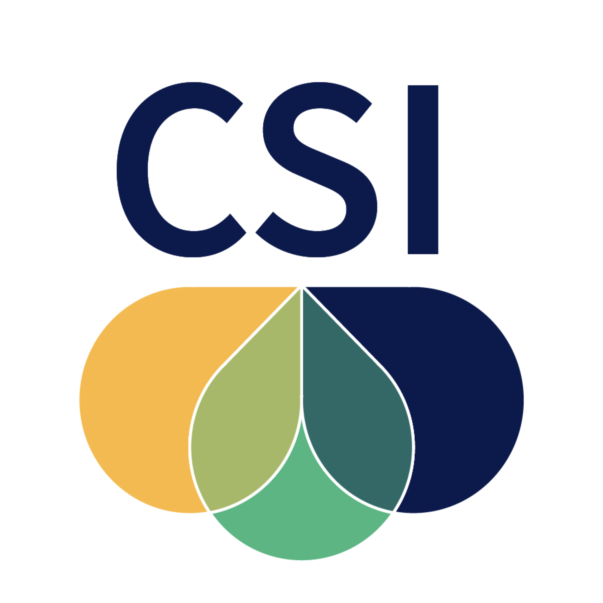 Cincinnati Song Initiative