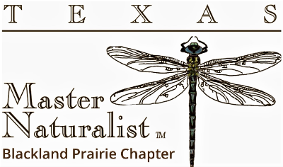 Texas Master Naturalist, Blackland Prairie Chapter