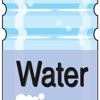 Bottle of Water item