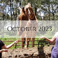 October 2023 Expedition item
