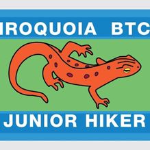 Junior Hiker Salamander item