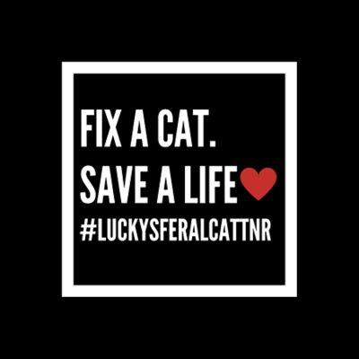 Lucky's Fix a Cat Vinyl Decal/Sticker item