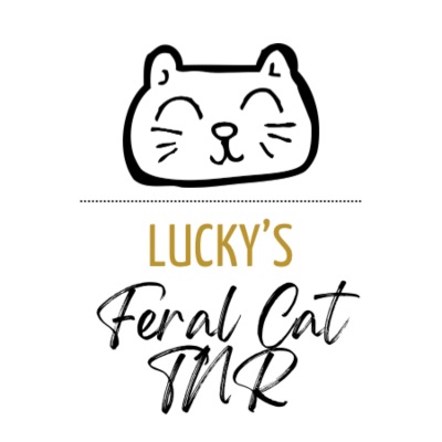 Luckys Feral Cat TNR