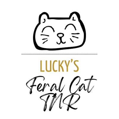 Luckys Feral Cat TNR