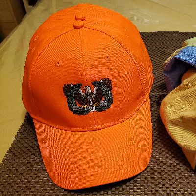 Non-tactical Cap, Non-Mesh, Eagle Rising item