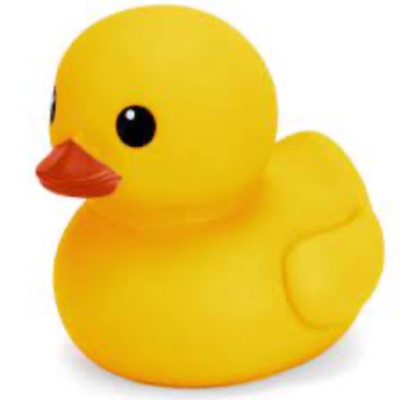 Purchase a Duck for the Duck Toss item