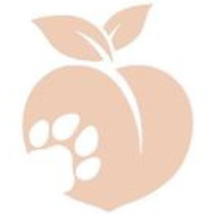 As Sweet AS A Peach Animal Rescue