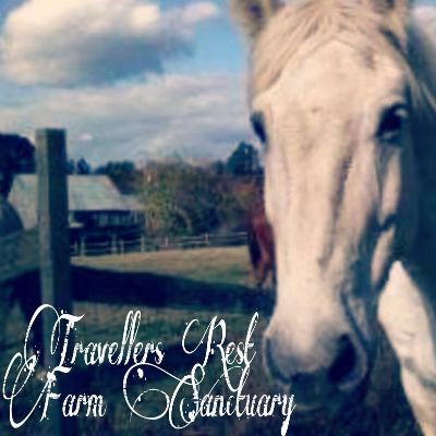 Travellers Rest Farm Sanctuary