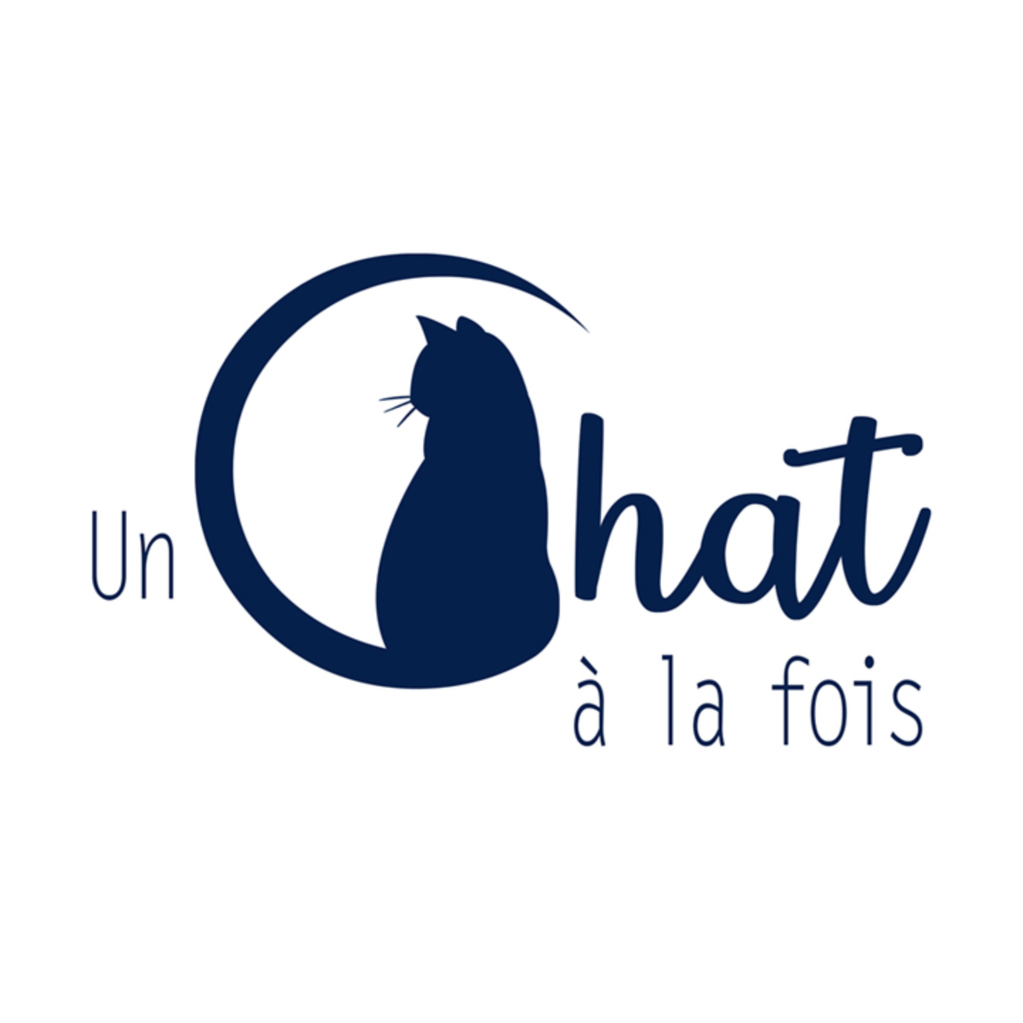 Un chat à la fois