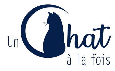 Un chat à la fois