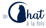 Un chat à la fois