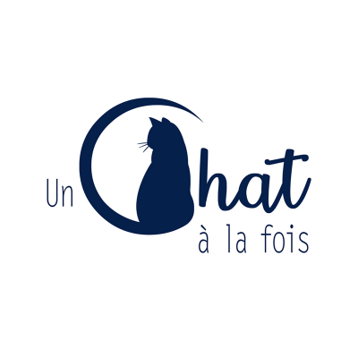 Un chat à la fois