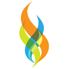 ReCapturing the Vision International Inc