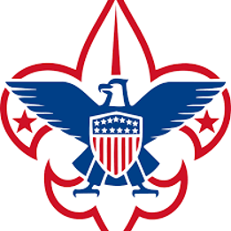 BSA Troop 229