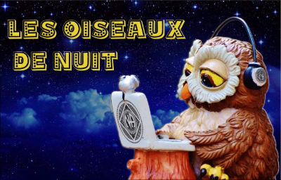 Réunion des oiseaux de nuit de Narcotiques Anonymes