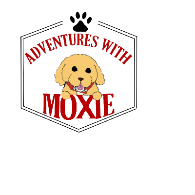 Moxie's Mission