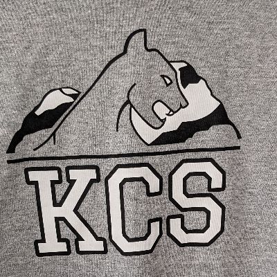 KCS T-shirt - Adult M item