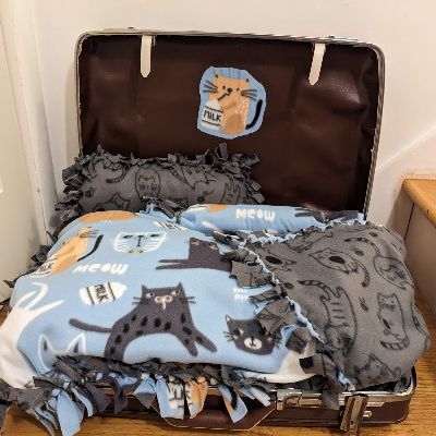 Large Cat Bed item