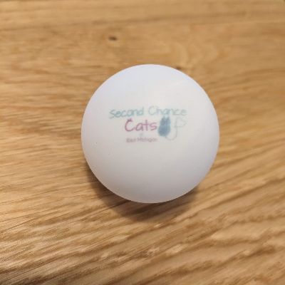 Ping Pong Ball item