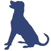 Talking Dog Film, INC.