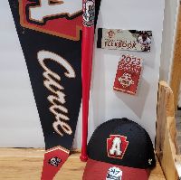 Altoona Curve Basket item