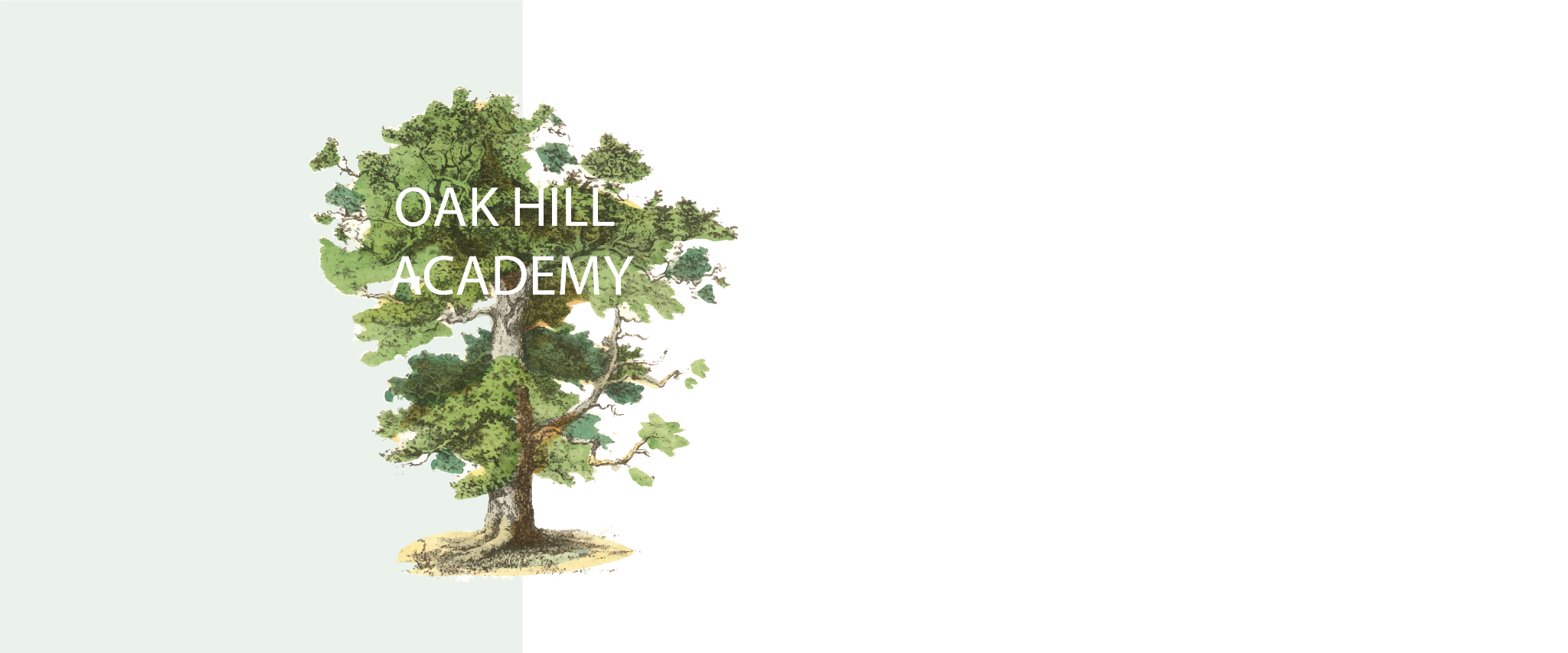 Oak Hill Capital Campaign