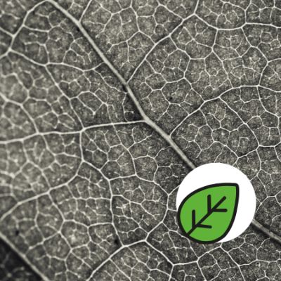 Jardin sous microscope item
