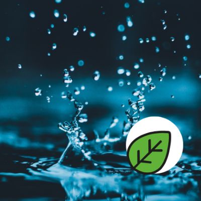 L'eau dans tous ses états item