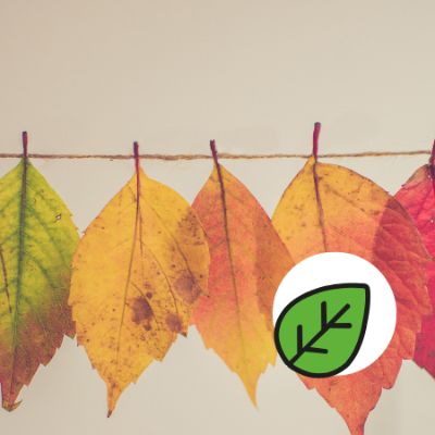 Préserver l'environnement, simple comme un écogeste item