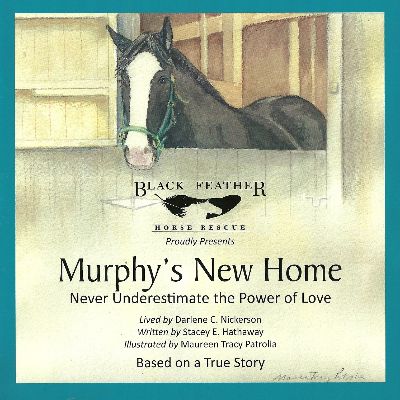 Murphy's New Home item