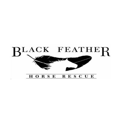 Black Feather Horse Rescue