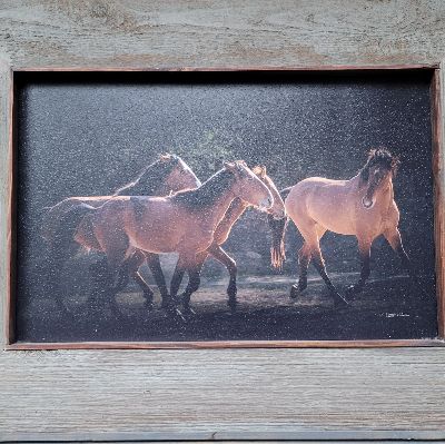 Salt River Horses framed photo item