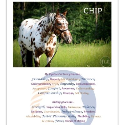 Poster - 16" X 20" item