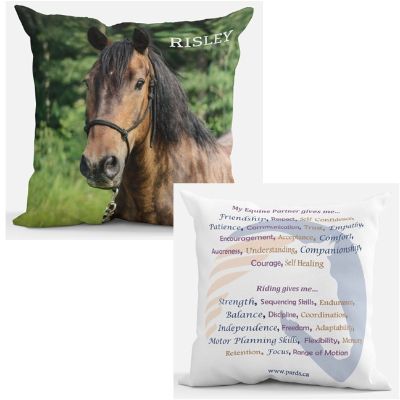 Pillow - 14" X 14" item