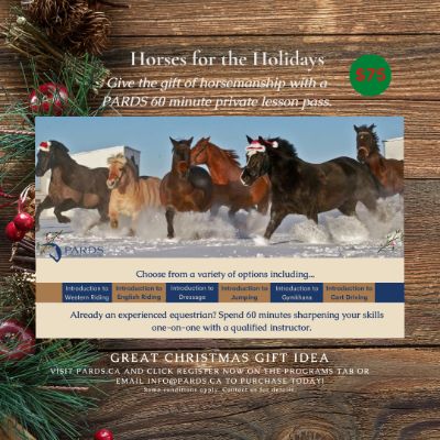 60 Minute Private Lesson item