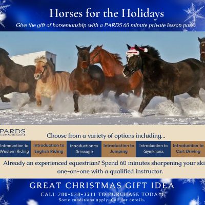 60 Minute Private Lesson item