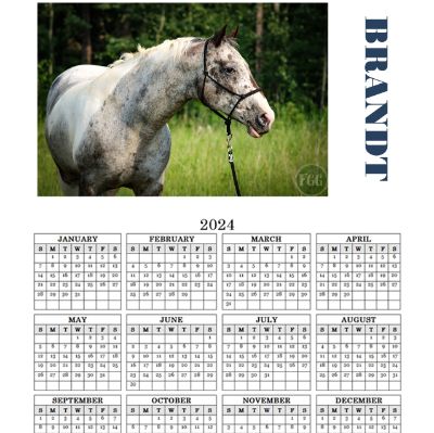 2024 Magnetic Calendar item