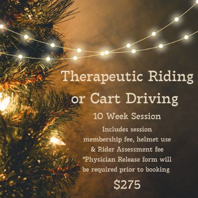 Therapeutic Riding or Cart Driving - 10 Week Session item