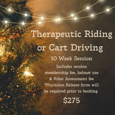 Therapeutic Riding or Cart Driving - 10 Week Session item