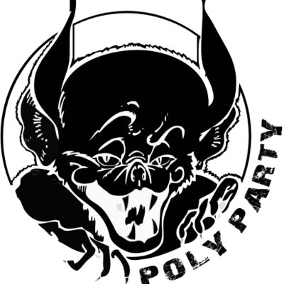 AEP - Interne - PolyParty