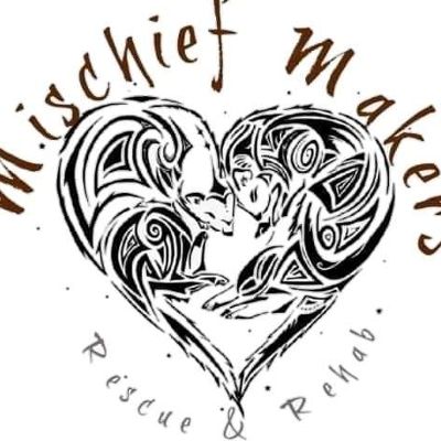 Mischief Maker's Rescue and Rehab